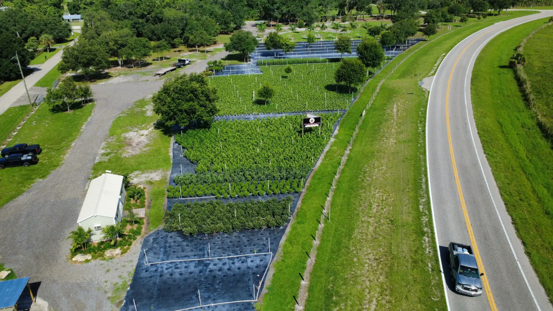 Rock & Rose Nursery aerial view, Alva FL — rows of specimen plants